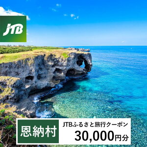 【ふるさと納税】【恩納村】JTBふるさと旅行クーポン(Eメール発行)(3万円分)