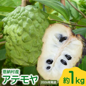 yӂ邳Ɣ[Łzy2026Nz[YAe 1kg