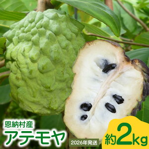 yӂ邳Ɣ[Łzy2026Nz[YAe 2kg