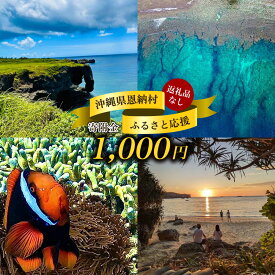 【ふるさと納税】【返礼品なし】沖縄県恩納村ふるさと応援寄附金 1000円