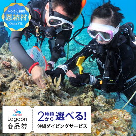 【ふるさと納税】沖縄ダイビングサービス Lagoon商品券 沖縄 人気 おすすめ 券 チケット 体験 商品券 アクティビティ リゾート 万座 ダイビング シュノーケル ダイバー 海 サンゴ カタログ 体験割引 ラグーン 沖縄県 恩納村