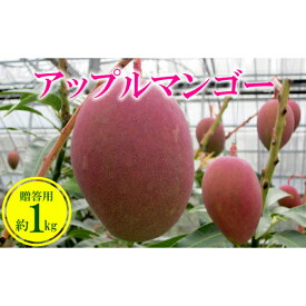 【ふるさと納税】【2020年発送】金武町のアップルマンゴー◆贈答用◆約1kg（2〜3玉）