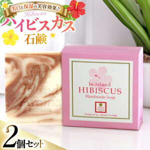 yӂ邳Ɣ[Łz Ό nCrXJXΌ 2 Zbg [ɍ]YZ^[ ꌧ ɍ] ie47bde210030] Ō` VR R  ΂