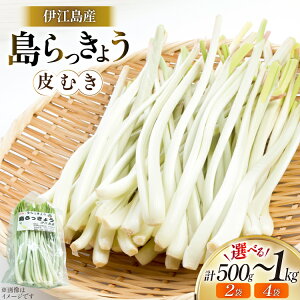 yӂ邳Ɣ[Łz yԌ蔭z 傤  ނ Iׂe 250g 2 v 500g or 4 v 1kg [~[WA ꌧ ɍ] ie47bde230013]  ܂ 傤 Y