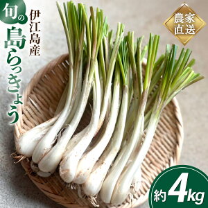 yӂ邳Ɣ[Łz yԌ蔭z傤  4kg [VJ ꌧ ɍ] ie47bde250001] bLE ܂傤  ₳ Ђ Е 傤݂