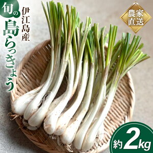 yӂ邳Ɣ[Łz yԌ蔭z傤  2kg [VJ ꌧ ɍ] ie47bde250002] bLE ܂傤  ₳ Ђ Е 傤݂