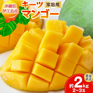 yӂ邳Ɣ[Łz yԌ蔭z ƒp L[c }S[  2kg (2`3) [ɍ]}S[ ꌧ ɍ] ie47bde320000] L[c}S[  t[c ʕ Â  Z Mango ʕ ʎ 