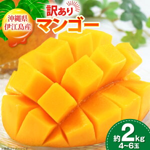 yӂ邳Ɣ[Łz yԌ蔭z 󂠂 }S[ (A[EB)  2kg (4`6) [ɍ]}S[ ꌧ ɍ] ie47bde320010]  t[c ʕ Â  Z Mango ʕ ʎ 