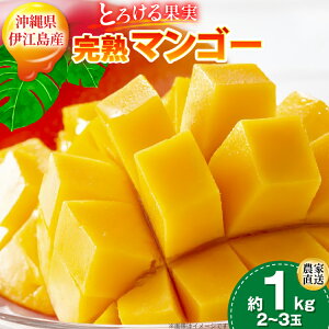 yӂ邳Ɣ[Łz yԌ蔭z n }S[ (A[EB)  1kg (2`3) [ɍ]}S[ ꌧ ɍ] ie47bde320012]  t[c ʕ Â  Z Mango ʕ ʎ 