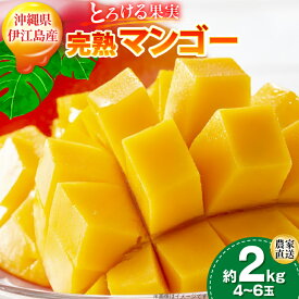 【ふるさと納税】 【期間限定発送】 完熟 マンゴー (アーウィン種) 約 2kg (4〜6玉) [伊江村マンゴー部会 沖縄県 伊江村 ie47bde320013] 沖縄 フルーツ 果物 甘い 夏 濃厚 Mango 果物 果実 くだもの