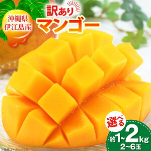 yӂ邳Ɣ[Łz yԌ蔭z 󂠂 }S[ A[EB 2026N Iׂe 2`3  1kg or 4`6  2kg [}S[ ꌧ ɍ] ie47bde320007]  t[c ʕ Â  Z 