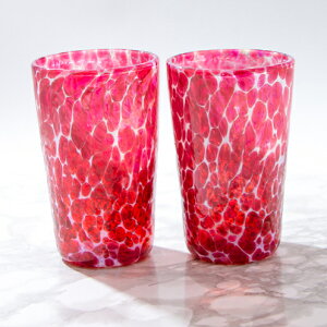 yӂ邳Ɣ[ŁzyKXz͌g@C̎@CbhirA2Zbgj