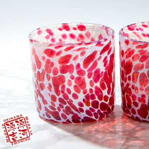 yӂ邳Ɣ[ŁzyKXz͌g@C̎@CbhibN2Zbgj