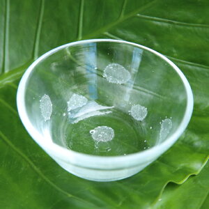 yӂ邳Ɣ[ŁzyKXH[zʏ1