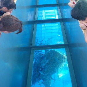 yӂ邳Ɣ[Łzu݂ȂňĂWxGUv琬tiWxGUOX{[gD1tj