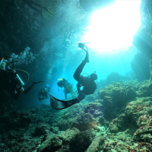 �y�ӂ邳�Ɣ[�Łz�y�ނ�ʁ[���z����C�x�X�g�|�C���g�E�t�@���_�C�r���O�i2�_�C�u�j��2���l����