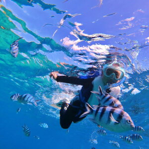 �y�ӂ邳�Ɣ[�Łz�y�ނ�ʁ[���z�{�[�g�V���m�[�P�����O��4���l����