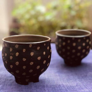 yӂ邳Ɣ[Łz쓩qlJbvی`2Zbgyhbgz  ǒJ ₿ނ uZieX vꐭ | ₫ GXjbN |^[ ꌧ