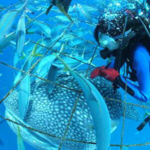 yӂ邳Ɣ[ŁzIWxGǓ_CrOi4lj