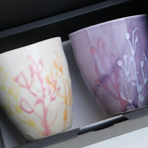 yӂ邳Ɣ[Łzydatta.̓|H[zX^u[ g|FxiyAZbgj