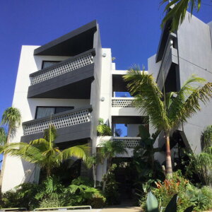 yӂ邳Ɣ[Łzy݂RhzeNDzfbNXcC[uƂ[̂ւvf܂