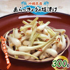 【ふるさと納税】島らっきょうの塩漬け300g【配送不可地域：離島】【1036254】