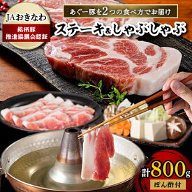 【ふるさと納税】あぐー豚を2つの食べ方でお届けします(ステーキ&しゃぶしゃぶ)【配送不可地域：離島】【1148899】