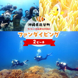【ふるさと納税】沖縄県北谷町　2ビーチファンダイビング