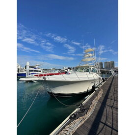 【ふるさと納税】沖縄北谷沖サンセットクルージング45分間　| 沖縄 旅行 クーポン 体験 トラベル 人気 おすすめ リゾート チケット 北谷 ちゃたん おすすめ 送料無料