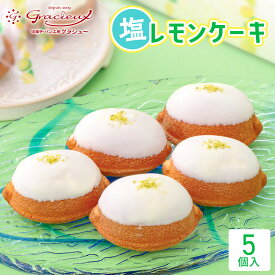 【ふるさと納税】北谷の塩レモンケーキ5個入り | 沖縄 レモンケーキ 北谷の塩 ケーキ 人気 人気店 おすすめ 北谷 ちゃたん おすすめ 送料無料