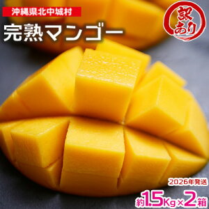 yӂ邳Ɣ[Łzy2026Nz󂠂 n}S[ Iׂe 1.5kg`3kg ꌧY s\ LO 󂠂}S[ A t[c ʕ  Abv}S[ A[EB