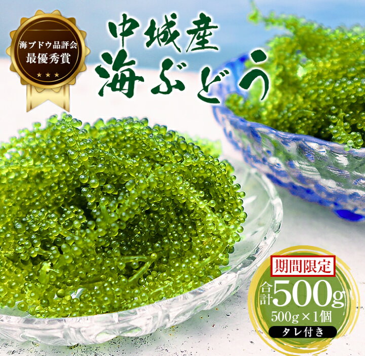 楽天市場 ふるさと納税 22年4月上旬 9月下旬に出荷 海ぶどう 500g 1個セット タレ付き ふるさと納税 沖縄県 沖縄県中城村 楽天市場 ふるさと納税 22年4月上旬 9月下旬に出荷 海ぶどう 500g 1個セット タレ付き ふるさと納税 沖縄県 沖縄県中城村