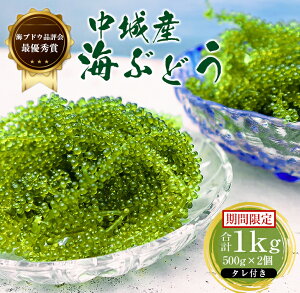 yӂ邳Ɣ[Łzy2025N4{ȍ~\zCԂǂi500g×2Zbgj^t Ԍ VN I i ̂  nO ꌧY 鑺Y Yi C̍K wV[ J