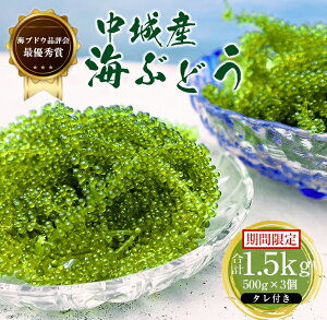 yӂ邳Ɣ[Łz2025N4{ȍ~\聄CԂǂi500g×3Zbgj^t Ԍ VN I i ̂  nO ꌧY 鑺Y Yi C̍K wV[ J