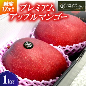 yӂ邳Ɣ[Łzy2026N6{珇z}gE}S[̃v~A Abv}S[1kgyzsnFzy1670278z