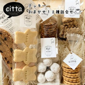 【ふるさと納税】cittaしまのおやつ　焼き菓子おまかせ12種類セット【1670832】