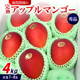 【ふるさと納税】【2026年6月下旬から順次発送・贈答用】儀間農園の完熟アップルマンゴー 秀品4kg(大玉7～8玉)【配送不可地域：離島】【1672927】