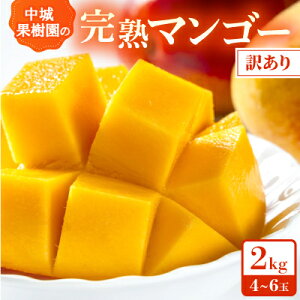 yӂ邳Ɣ[Łzy2026N7珇Ezʎ̊nAbv}S[ 󂠂2.0kg(4`6)yzsnFzy1673145z