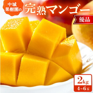 yӂ邳Ɣ[Łzy2026N7珇Eϔzʎ̊n}S[ Di2.0kg(4`6)yzsnFzy1673176z