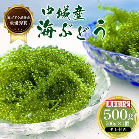 【ふるさと納税】【沖縄から産地直送】海ぶどう品評会最優秀賞受賞!ちゅら海ぶどう 500g/1kg/1.5kg/2kg【G1674875】