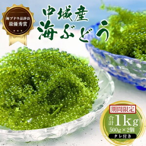 【ふるさと納税】【沖縄から産地直送】県産海ぶどう品評会最優秀賞受賞!ちゅら海ぶどう1kg(500g×2箱)【1674920】