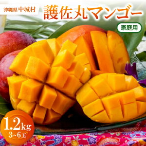 yӂ邳Ɣ[Łzy2026N6{珇E󂠂z썲ۃ}S[1.2kg(3`6)yzsnFzy1676053z