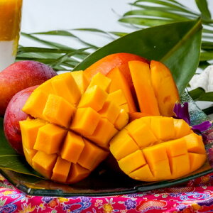 yӂ邳Ɣ[Łzy2026N6{珇E󂠂z썲ۃ}S[800g(2`3)yzsnFzy1681753z