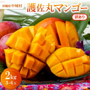 yӂ邳Ɣ[Łzy2026N6{珇E󂠂z썲ۃ}S[2.0kg(3`6)yzsnFzy1681755z