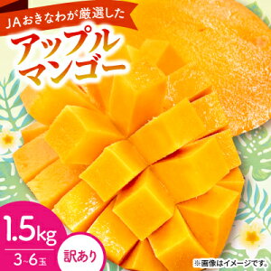 yӂ邳Ɣ[Łzy2026N6珇E󂠂zAbv}S[1.5kg(3`6)yzsnFzy1681760z