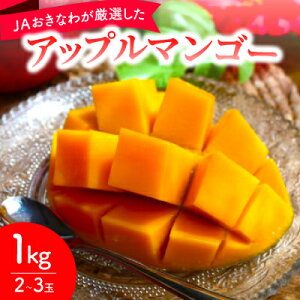 yӂ邳Ɣ[Łzy2026N6珇EϔzJAȂ킪IAbv}S[1kg(2`3)yzsnFzy1681767z