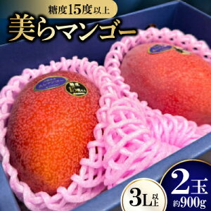 yӂ邳Ɣ[Łzy2026N6珇Eʌzx15xȏIʂu}S[v900g(2)yzsnFzy1681771z