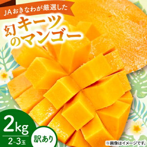 yӂ邳Ɣ[Łzy2026N8珇E󂠂zJAȂ팵ĨL[c}S[2kg(2`3)yzsnFzy1681780z