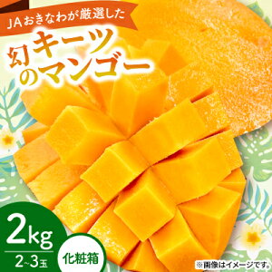 yӂ邳Ɣ[Łzy2026N8珇EϔzJAȂ팵ĨL[c}S[2kg(2`3)yzsnFzy1681785z