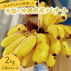 【ふるさと納税】JAおきなわが厳選した季節の沖縄県産バナナ 2kg(旬の品種おまかせ)【1687539】